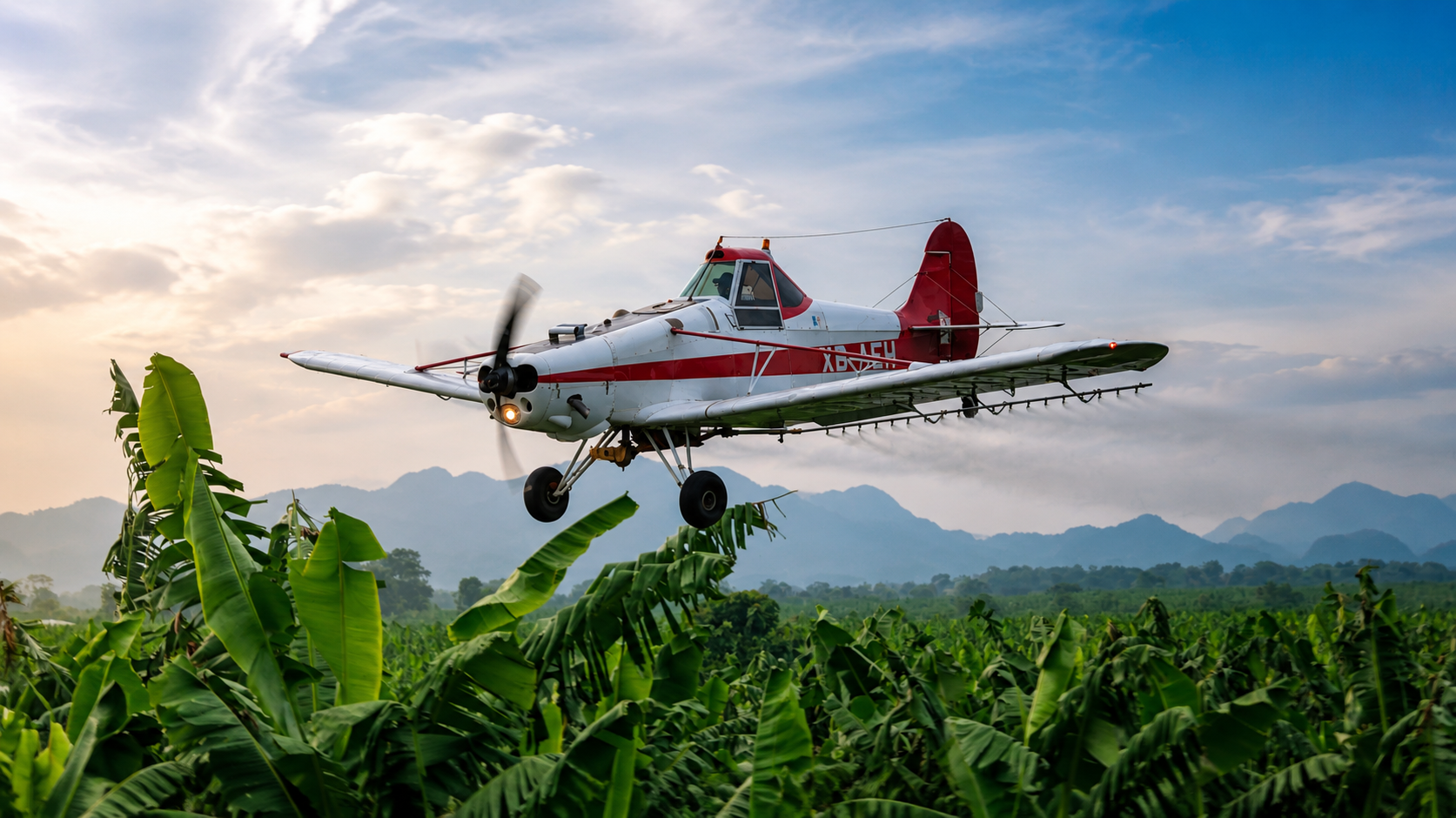 Avioneta sobre plantación de banano